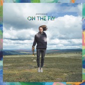 On the Fly artwork