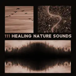 111 Healing Nature Sounds (Sea Music, Power of Aqua, Rumble Rain and Thunderstorm, Calming Flow River, Gentle Waterfall & Underwater Ambiance, Birds, Crickets, Forest) by Various Artists album reviews, ratings, credits