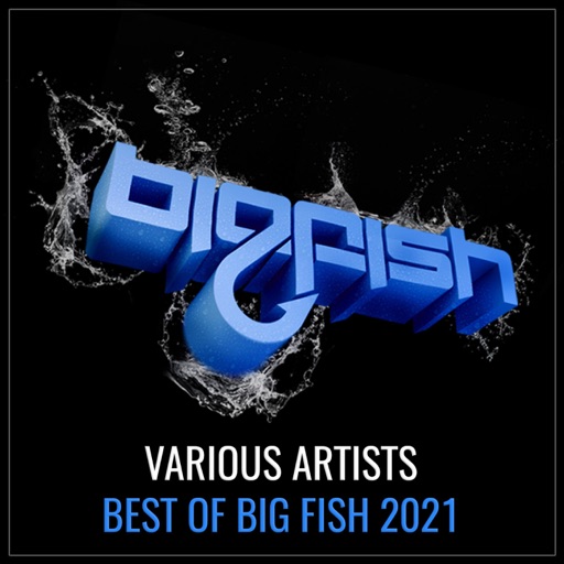 Best of Big Fish 2021 by Various Artists