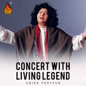 Concert With Living Legend artwork