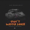 Don't Wanna Loose - Single