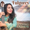 Fulgores