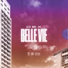 Belle vie - Single