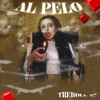 AL PELO - Single
