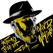 Anthony Joseph - Totem (David Walters Remix)