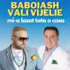 Mi-a lasat tata o casa (feat. Vali Vijelie) - Single album lyrics, reviews, download