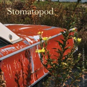 Stomatopod - Be the Hog!