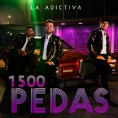 1500 Pedas artwork