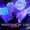 Walking in the Clouds - Single