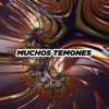 Como Tú (Magic Music Box) by León Larregui iTunes Track 41
