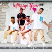 Intliziyo Yam (feat. Big Nuz & DJ Tira) artwork