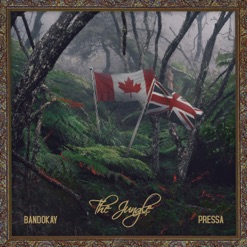 THE JUNGLE cover art