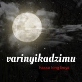 Varinyikadzimu artwork