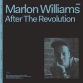 Marlon Williams - After The Revolution