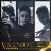 Stream & download VALENDO OURO - Single