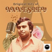 Original Hits of Annesley artwork