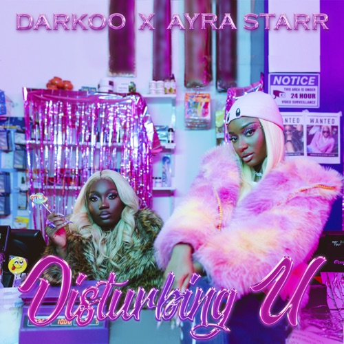 DARKOO & Ayra Starr - Disturbing U - Single [iTunes Plus AAC M4A]