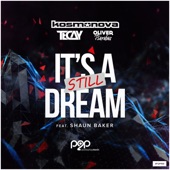 It's Still a Dream (feat. Shaun Baker) [Extended Mix] artwork