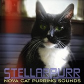 Nova Cat Purring Sounds - Interstellar Purr