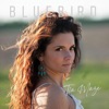 Bluebird - Single