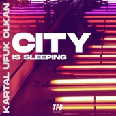 City Is Sleeping artwork