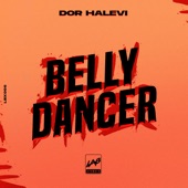 Belly Dancer artwork