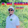 A Nu Ganja - Single