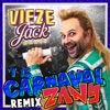 't Is Carnaval (Zany Remix) - Single