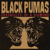 Black Pumas - More Than a Love Song (Radio Edit)