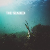 The Seabed artwork