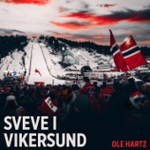 Sveve i Vikersund artwork