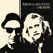 Immaculate Fools artwork