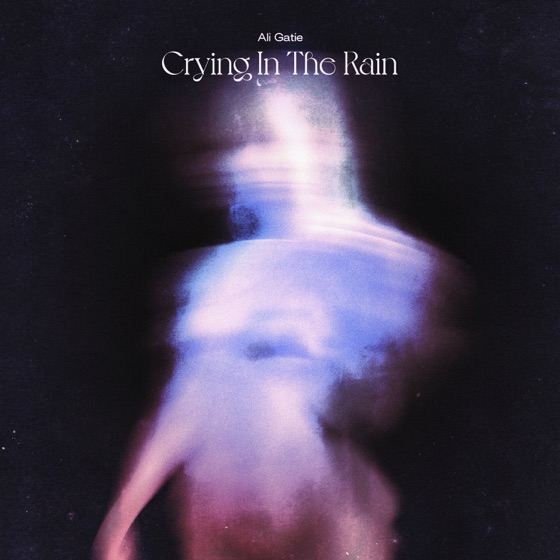 Cover artwork for Crying in the Rain