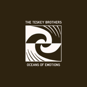 Oceans Of Emotions - The Teskey Brothers