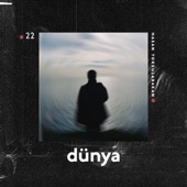 Dünya artwork