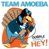 Team Amoeba - Gratitude
