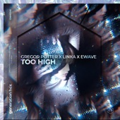 Too High (Extended Mix) artwork