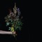 Beitilyng (feat. Sin Fang & Alex Somers) - Jónsi lyrics