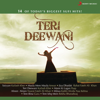 Teri Deewani - Kailash Kher