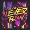 Never Bow - Single album lyrics, reviews, download