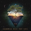 Rise - Single