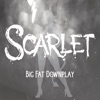 Big Fat Downplay - Single