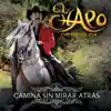 Camina Sin Mirar Atrás album lyrics, reviews, download