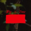 Fig Tree - Single