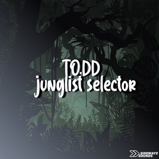 Junglist Selector - Single by TO.DD