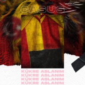 Kükre Aslanim artwork