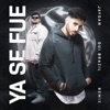 Ya Se Fue (Remix) - Single