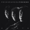 Cicuta (Remix) by Peces Raros, Trueno iTunes Track 1