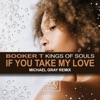 If You Take My Love (Michael Gray Remix) - Single