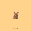 Angry Cat - Single